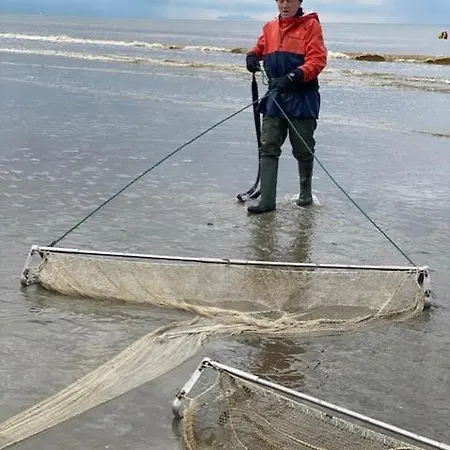 Depannemarkt * De Panne