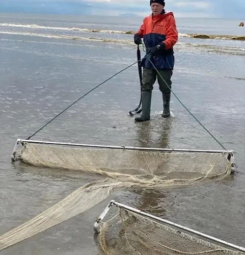 Depannemarkt * 드판